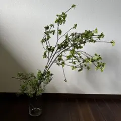 黒釉 長方形花器 大型花器 生け花 花入れ 水盤 陶器 和モダン 40cm 