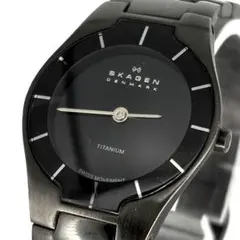 SKAGEN BLACK LABEL 腕時計 レディース チタン 新品電池のサムネイル