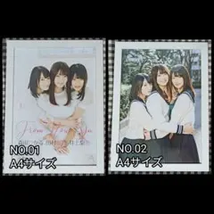 欅坂46 森田ひかる、渡邉理佐、菅井友香、田村保乃、小林由依　サイン入りポスター 菅井友香、小林由依、森田ひかる……欅坂46、次期センターは誰に