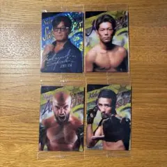 RIZIN トレーディングカードセット