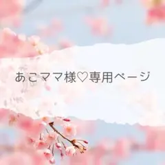 インド刺繍リボン♡あこママ様専用ページ