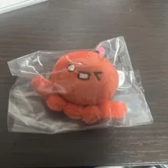 教育番組 ぬいぐるみバッジ パウル ガチャ