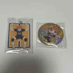 ハイキュー!! 日向翔陽