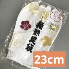 Item thumbnail for item a0e03f8e-8b45-45ba-98bf-93d5c9dc53a2