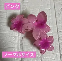 플루메리아 밴스 클립 투톤 핑크 노멀 사이즈