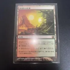 MTG 踏み鳴らされる地 EOE 日本語 foil - メルカリ