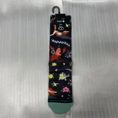 Item thumbnail for item 0592973d-9ad8-4049-a0fa-ff20e35a84d5