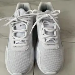 Item thumbnail for item cfdaf7a0-f655-4648-a3c2-ebba5a46f372