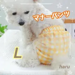 マナーパンツ チェック イエロー L サニタリー ペット 新品 犬服 jのサムネイル