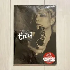 Acid Black Cherry Erect パンフレット ツアーパンフ