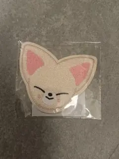 StrayKids スキズ アイエン フォクシニー サガラ刺繍コースター - メルカリ
