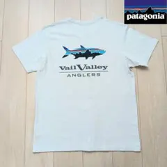 【美品】patagonia オーガニックコットン バックプリントTシャツ L