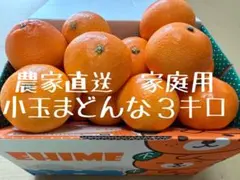 062【農家直送】愛媛県産　愛果28号　　(紅まどんな)小玉3キロ