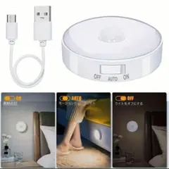 RY.31 室内用センサーライト 2個セット 昼白色 <head>< [d4w]