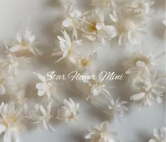 Miki❀様　おまとめ
