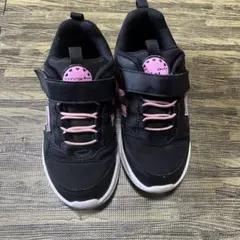 Item thumbnail for item 1b65b61c-ccff-49f2-a9e2-c14925a7fc1e