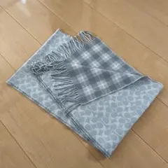 Item thumbnail for item 40a5e73a-729e-4414-a4f5-62df05114620