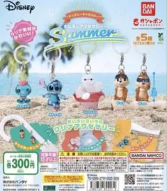 ディズニーキャラクター めじるしアクセサリー Summer