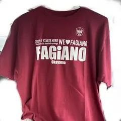 ファジアーノ岡山 2009年 Tシャツ レッド サッカー応援グッズ超希少
