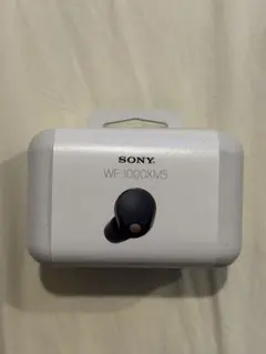 【水没】WF-1000XM5 Sony イヤホン