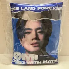 ★ 最安値！即購入⭕️ 三代目JSB 登坂広臣クッション ！のサムネイル