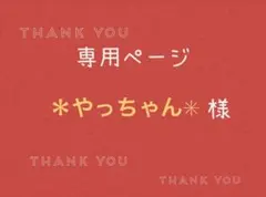 ＊やっちゃん✳︎様専用ページです。