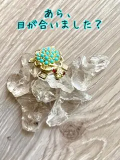 亀のブローチ 小ぶり