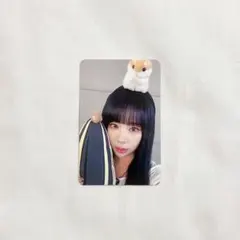 2025年最新】ドシ トレカの人気アイテム - メルカリ