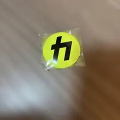 カリスマックス 缶バッジ