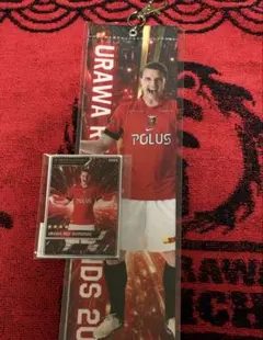 浦和レッズ 5番 マリウス ホイブラーテン選手