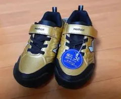 Item thumbnail for item 13d54cf9-3dc8-458f-a127-94d08d3ec4ec