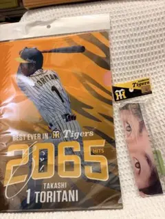 Item thumbnail for item e4afcc86-e5f8-4181-aa8c-cf4c255f5f68