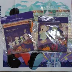 ✨きんちゃく＆ウォッシュタオルのセット　☆フォールズサウンドインビテーション☆