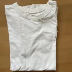 コットン Tシャツ