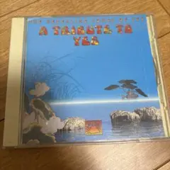 A Tribute to Yes