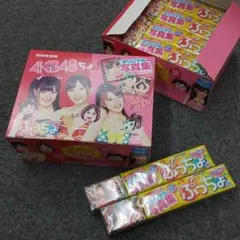 ぷっちょ AKB48写真集 12個入り箱 セット◆◆べあ様専用◆◆