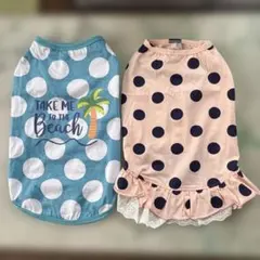 veryと水玉スカートおまとめのサムネイル