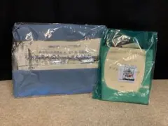 ムーミン雑誌付録バック ２点セット