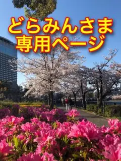 【どらみんさま専用】サンダル(26cm)