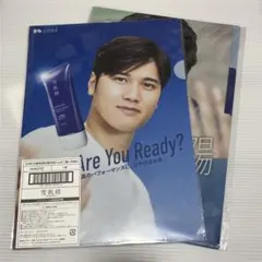 新品未開封】大谷翔平 雪肌精 クリアファイル 2枚セット 非売品 - メルカリ