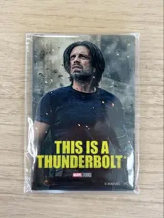 サンダーボルツ ブラインド スクエア缶バッジ　バッキー