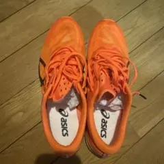 Item thumbnail for item 4a0cf3bb-5f0f-4b3e-94a6-afc0ef764709