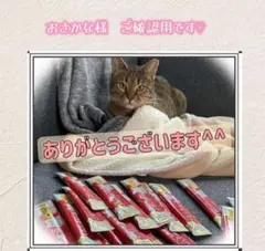 おさかな様　ご確認用です♡