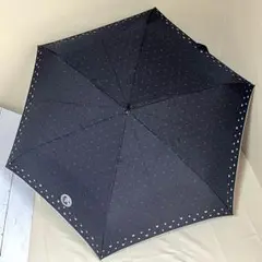 【極美品・非売品】ディズニー バケパ限定 晴雨兼用傘＆エコバッグ 親骨50cm