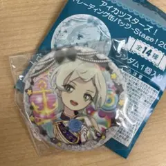 アイカツスターズ 騎咲レイ 缶バッジ 16個セット - メルカリ