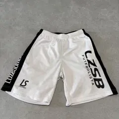 Item thumbnail for item 72177e76-4385-4cae-bb96-ce1df850e9a1