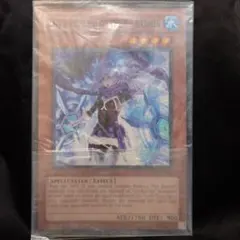 遊戯王 氷結界の舞姫 ジャンボサイズ - メルカリ