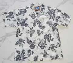 Item thumbnail for item 7d6e676b-1c6f-467a-8c3f-df5279d1d94e