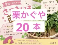 栗かぐや 20本(おまけ付き)さつまいも苗 無農薬 - メルカリ