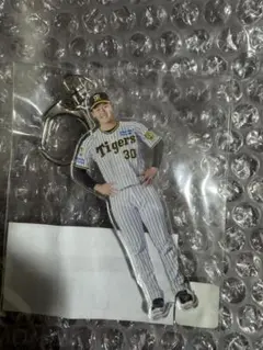 Item thumbnail for item c2629f4c-ccf8-41e5-9250-5205eafe586a